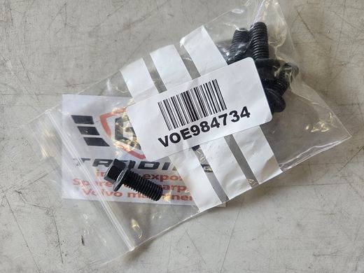 Flange Screw
